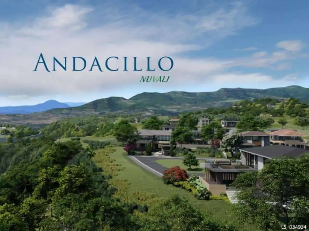 Lot For Sale In Andacillo photo 1
