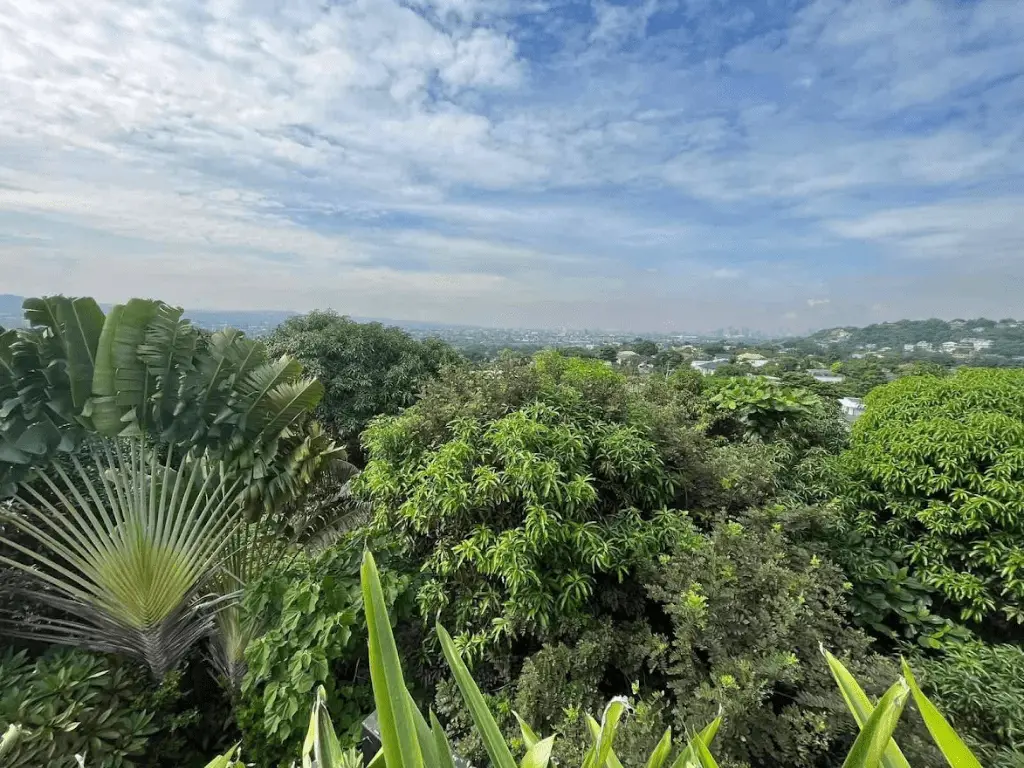 Lot For Sale in Capitol Park Homes photo 3