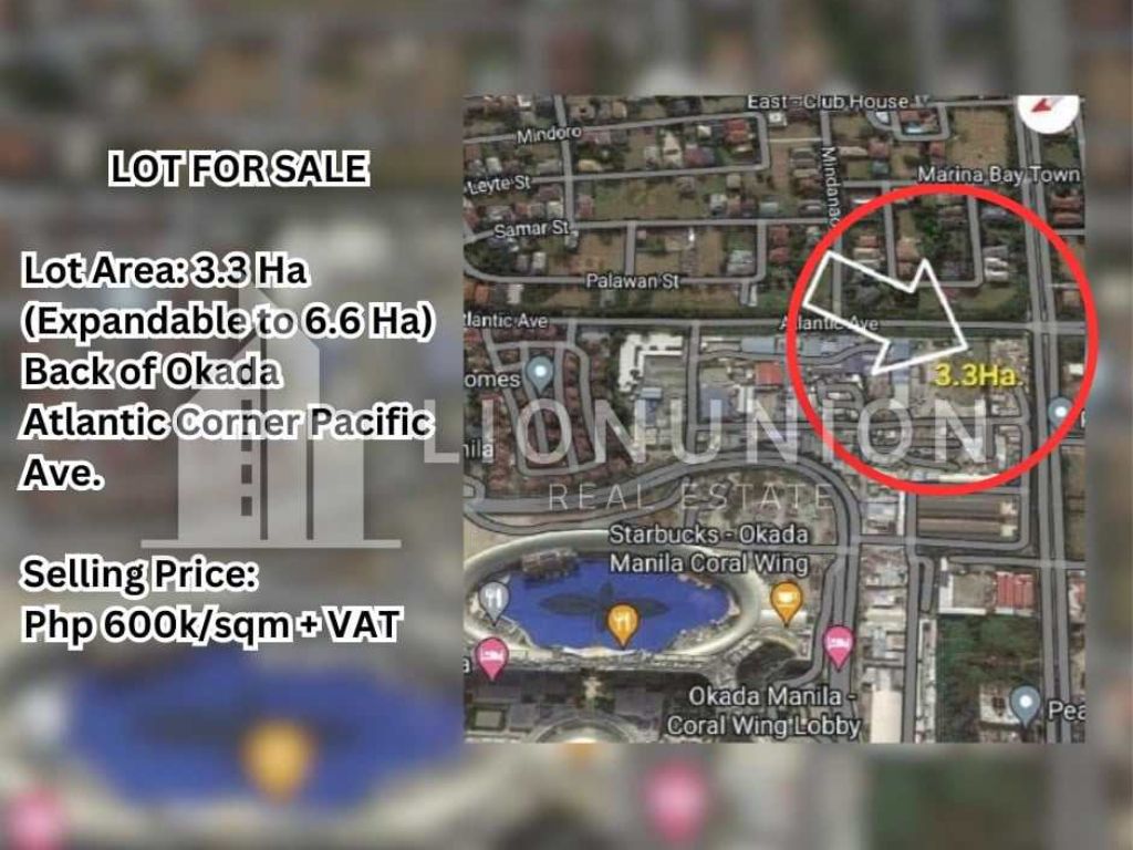 Lot For Sale in Don Galo, Parañaque Lionunion
